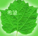 暴走动物表情4