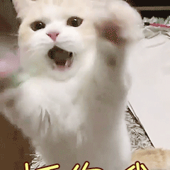 心疼的动漫表情包7