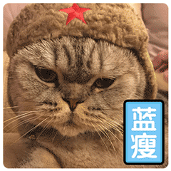 含有有人的微表情4
