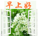 看主播搞笑卡通表情2