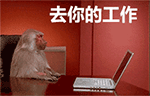 你的名字斗图1