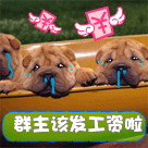 成语祝福表情包1