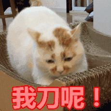 阿岳真的很严格表情包4
