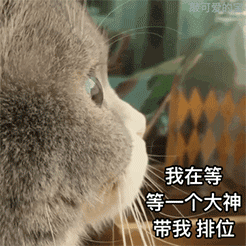 靠近女人表情包6