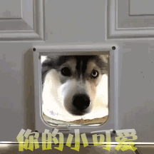 地下交通站当贾贵6