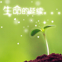 周迅男朋友生气的表情包10