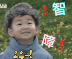 沙雕表情包熊猫可爱11