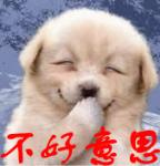 蔡徐坤打篮球动态斗图5