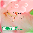 8组如果的搞笑表情12