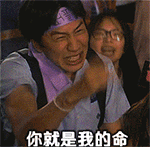 骨头散了文字表情包4