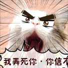 终究是错付了表情包可爱5