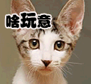 粉色猪微信头像6