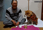 滑稽表情看着难受10