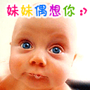 猫咪表情晚安祝福8