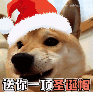 两个美女一个男人的表情包5