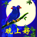 网上很火的动态表情包11