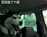 众将士沙雕表情包9