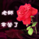 微信表情包没人在表情7