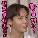香车美女表情8