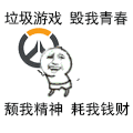 小猫生气勃勃天真可爱12
