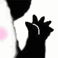 给老子安排美女表情12