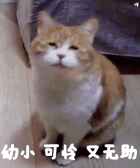 欢迎同学入群动态表情5
