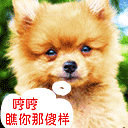 小脑斧动态表情包图片大全6
