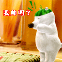 传奇动态表情3