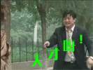 猫咪表情包壁纸12