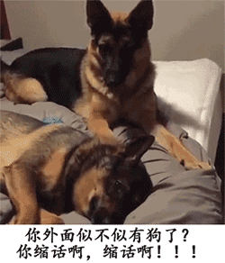 没有的emoji表情7