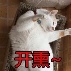 祝福朋友分手表情图8