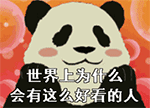 呆萌颜文字表情符4
