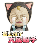 用爱情公寓打开表情包6