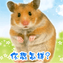 看到帅哥表情包图片3