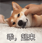 告诉的表情1