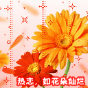 美女表情包走红8