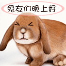 精选12组你好的经典表情5