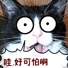 表情包搞笑情侣手绘5