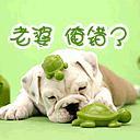 qq输入法恶搞表情包下载5