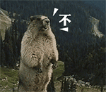 有关钱包的经典表情6