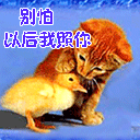 罗小黑战记搞笑图片8