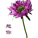 蜡笔小新动态谢谢表情包8