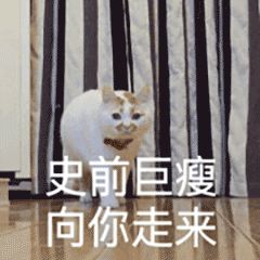 stay动态表情包7