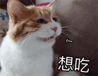 含有刘德华的卖萌表情8