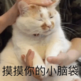 描述花子的emm表情4