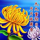 胜利表情包gif3