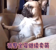 韩国爆汗7