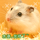 qq真人搞笑表情3