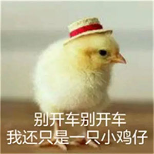 2023形容自己的恶搞表情3