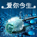 微信表情动图祝福语7